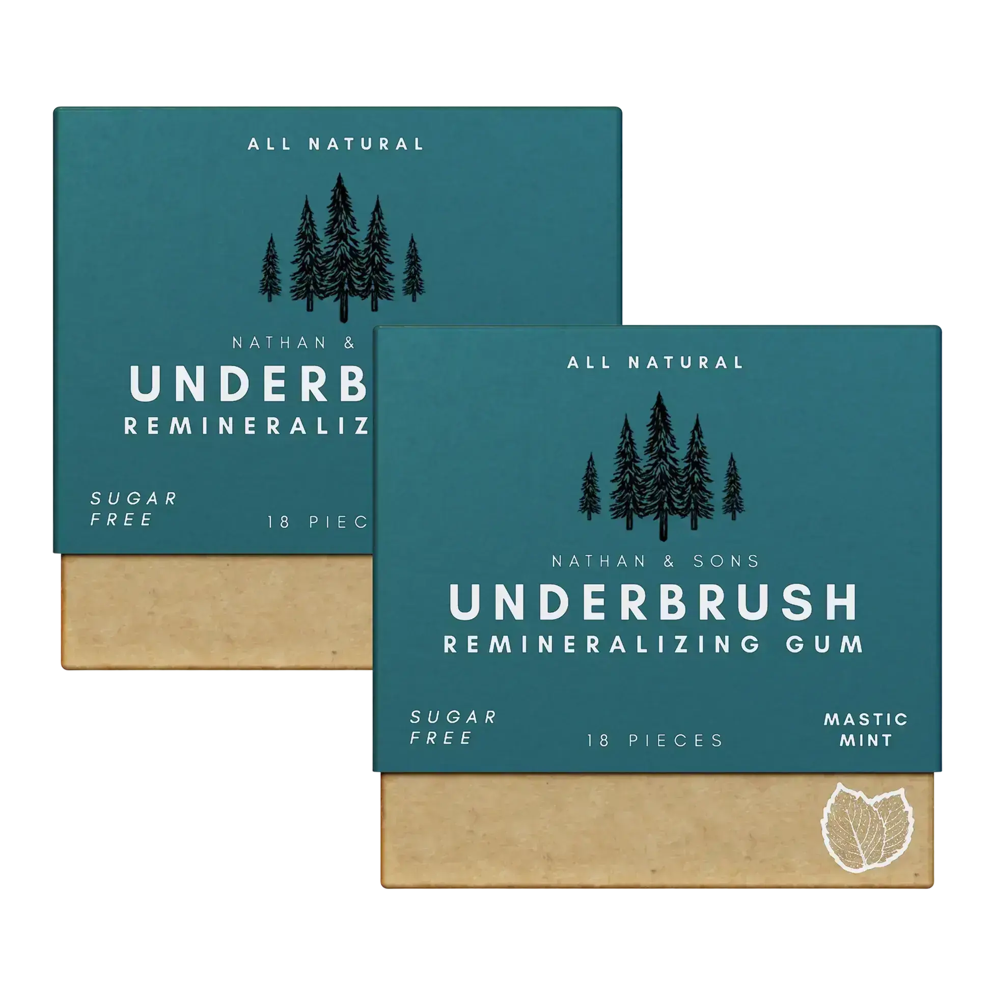2 Pack of Nathan & Sons Underbrush Remineralizing Gum Mastic Mint flavor