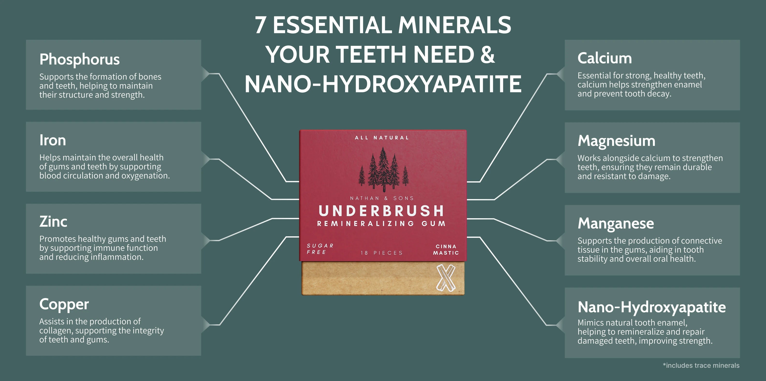 Underbrush cinna mastic remineralizing gum with nano-hydroxyapatite, phosphorus, iron, zinc, copper, calcium, magnesium and manganese.