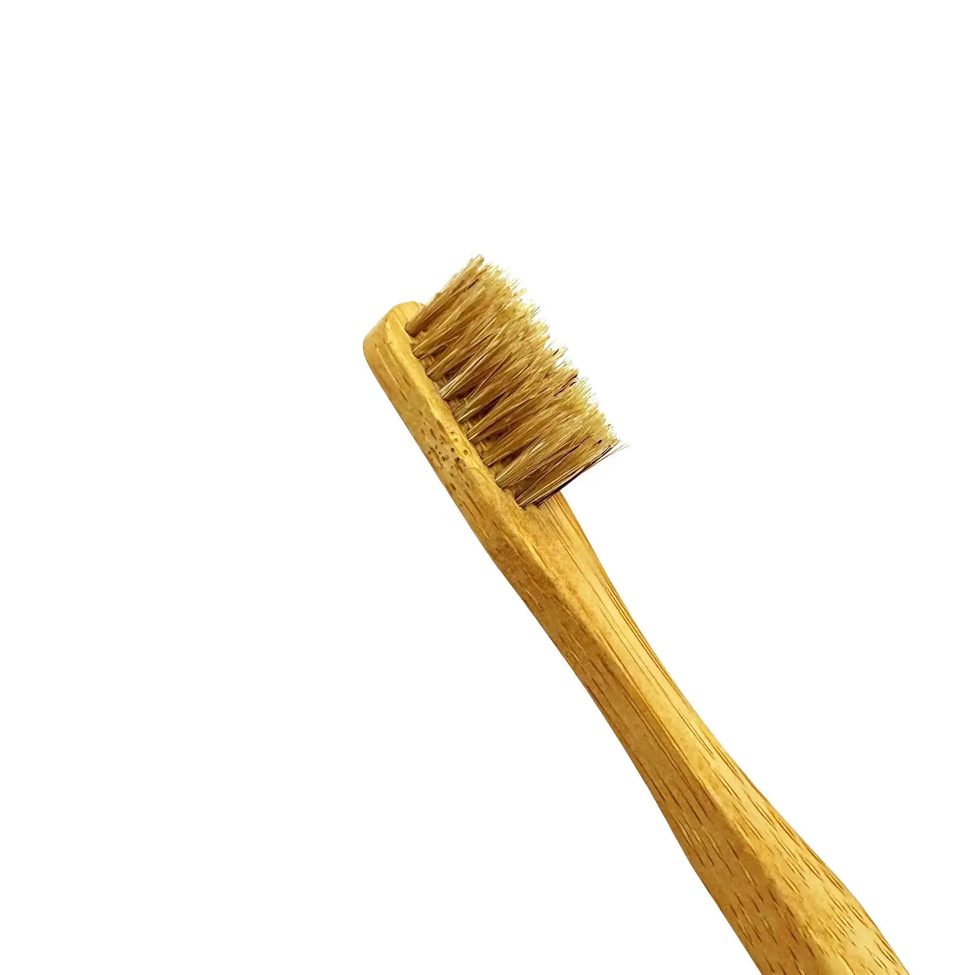 The Smile Reset System Nathan & Sons