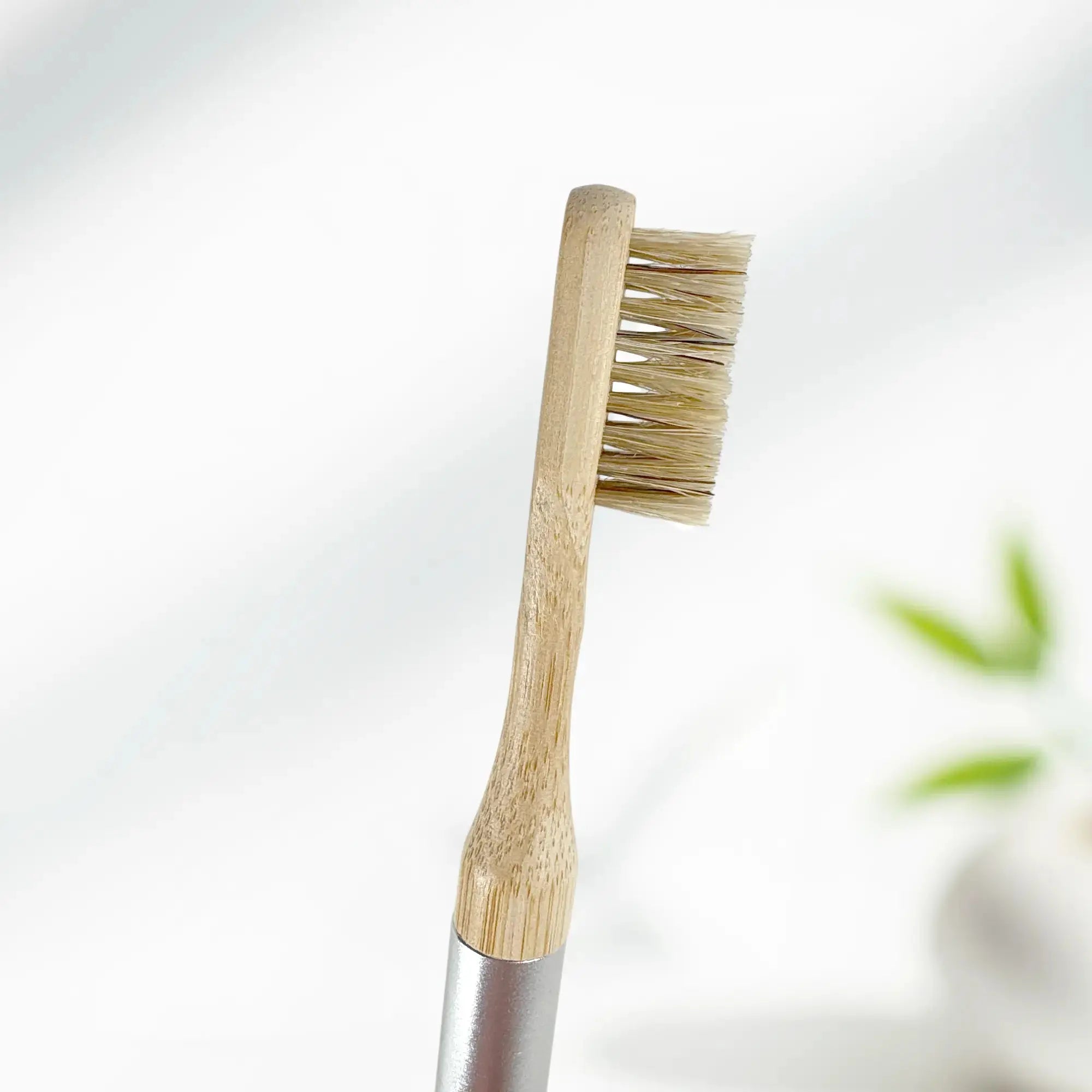 Close up side view of the Nathan and Sons Boar's Hair Toothbrush Head featuring boar's hair bristles and a bamboo neck