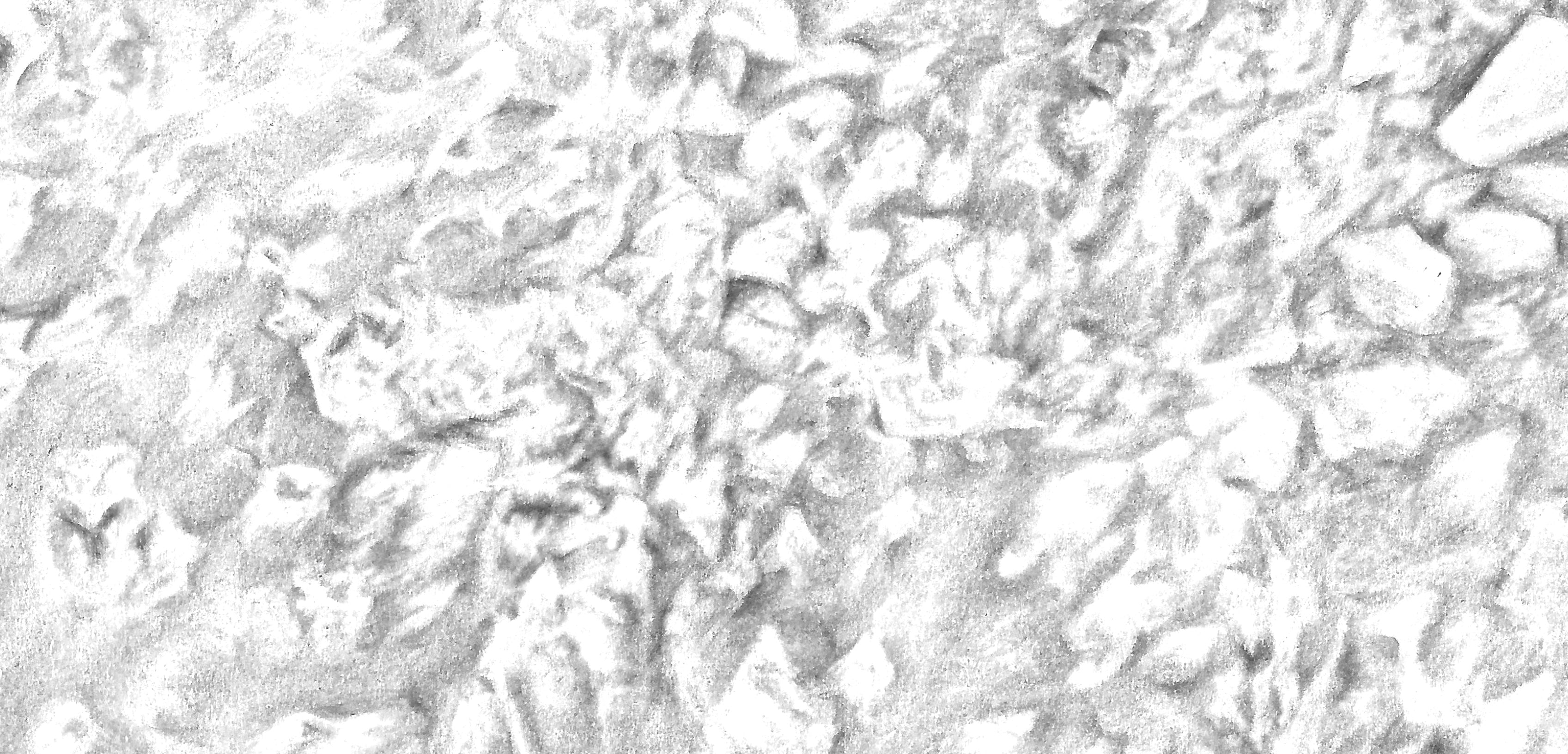 Microscopic view of remineralized tooth enamel surface in white tones