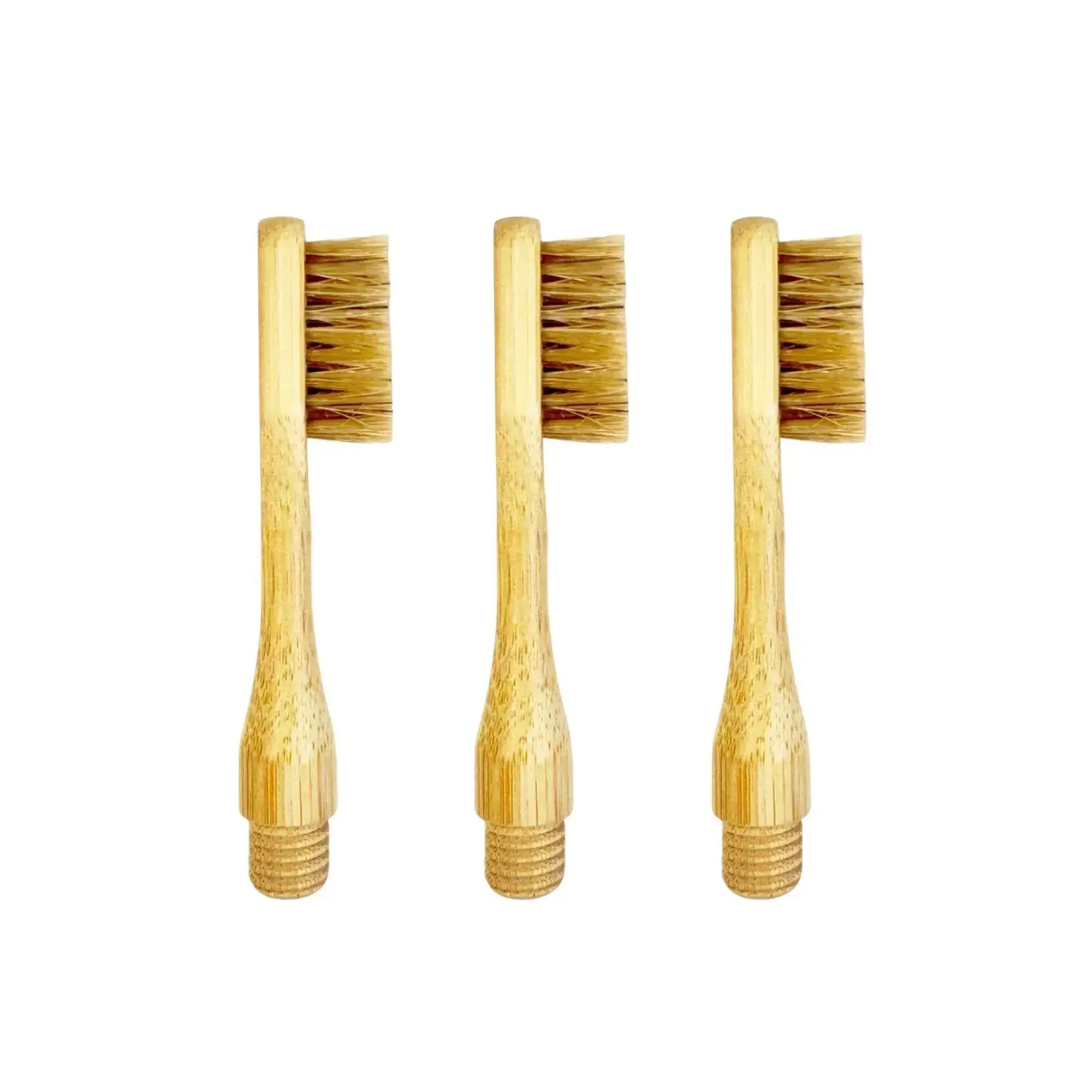 Close-up of the Nathan and Sons Boar's Hair Toothbrush Heads featuring boar's hair bristles and a bamboo neck