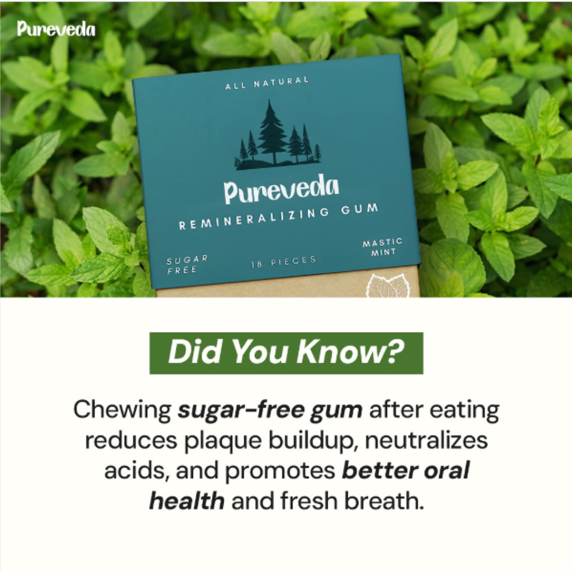 Underbrush counterfeit example Pureveda
