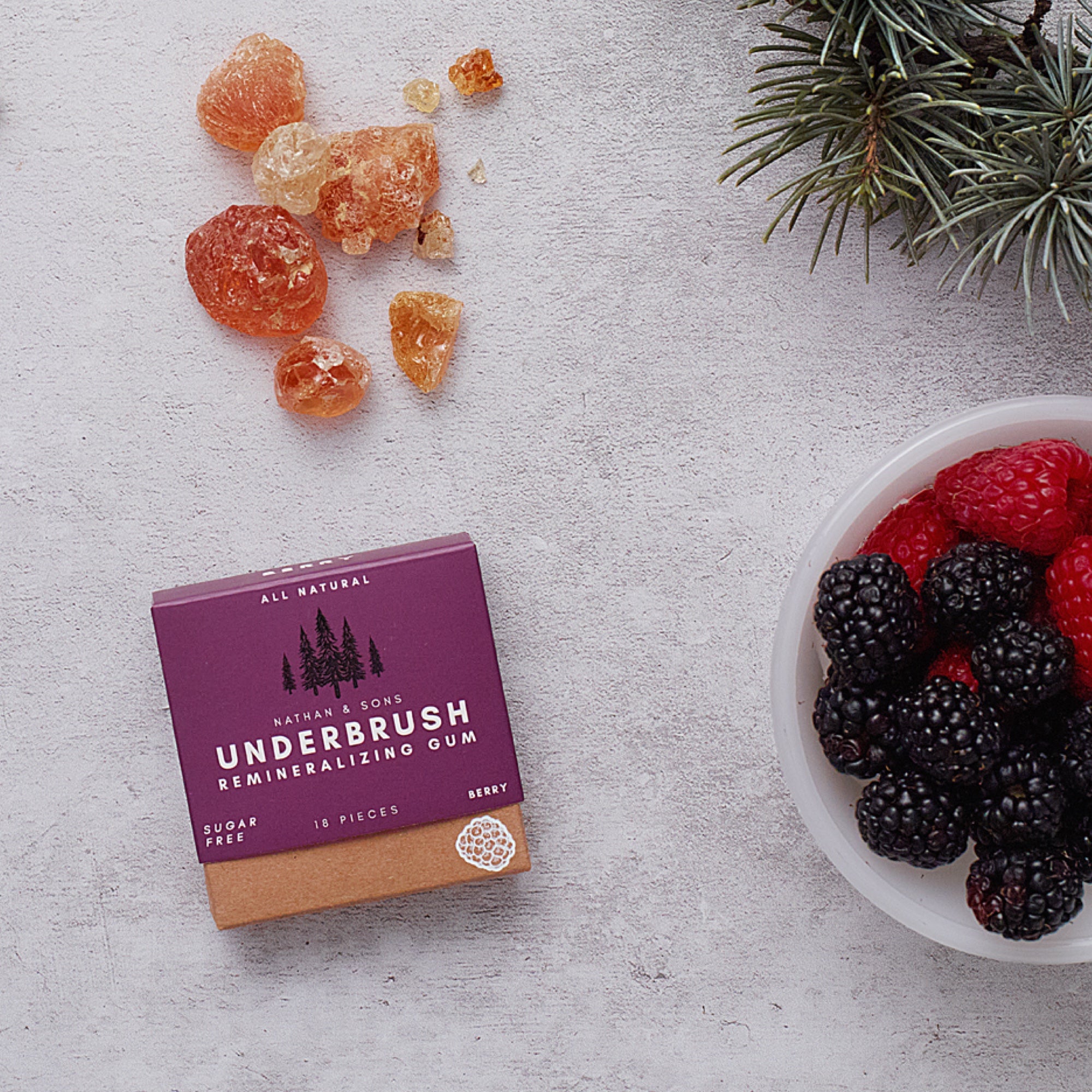 Underbrush Berry Remineralizing Gum box with natural tree resin, a bowl of blackberries and raspberries, and pine sprigs on a textured surface