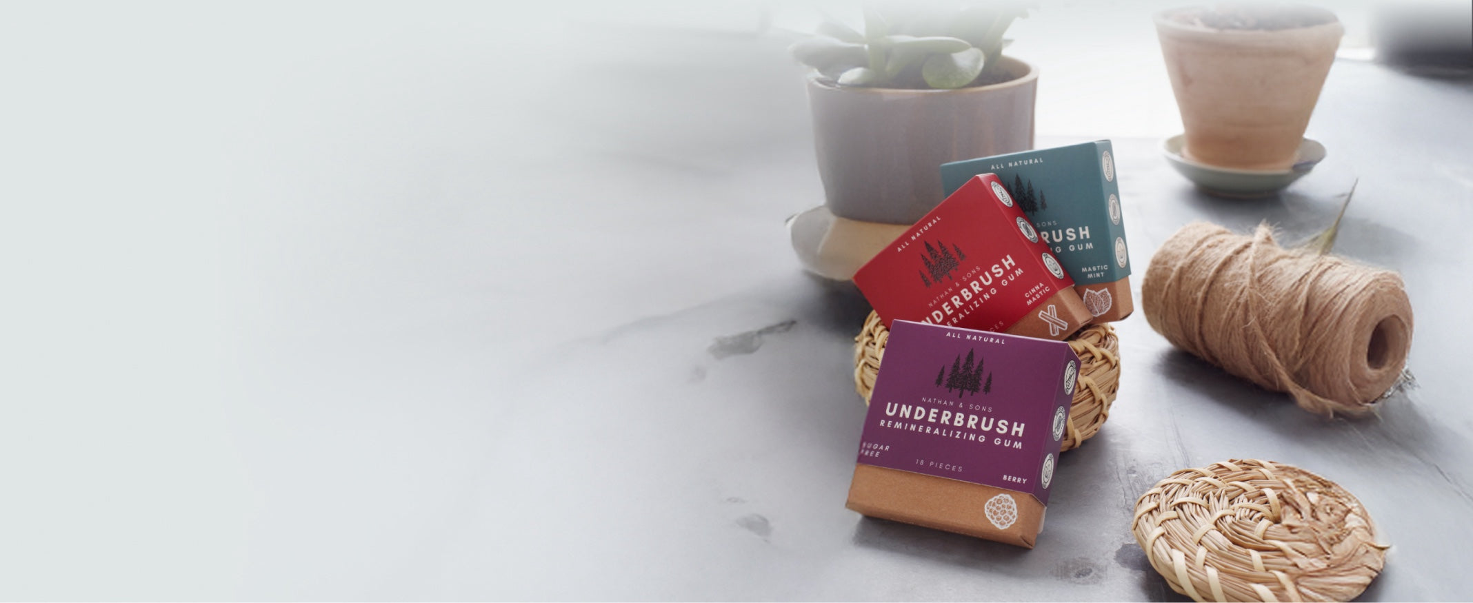 Underbrush Remineralizing Gum—Cinna-Mastic, Mastic Mint, and Berry flavors displayed on a stone surface with twine and woven coasters beside small potted plants