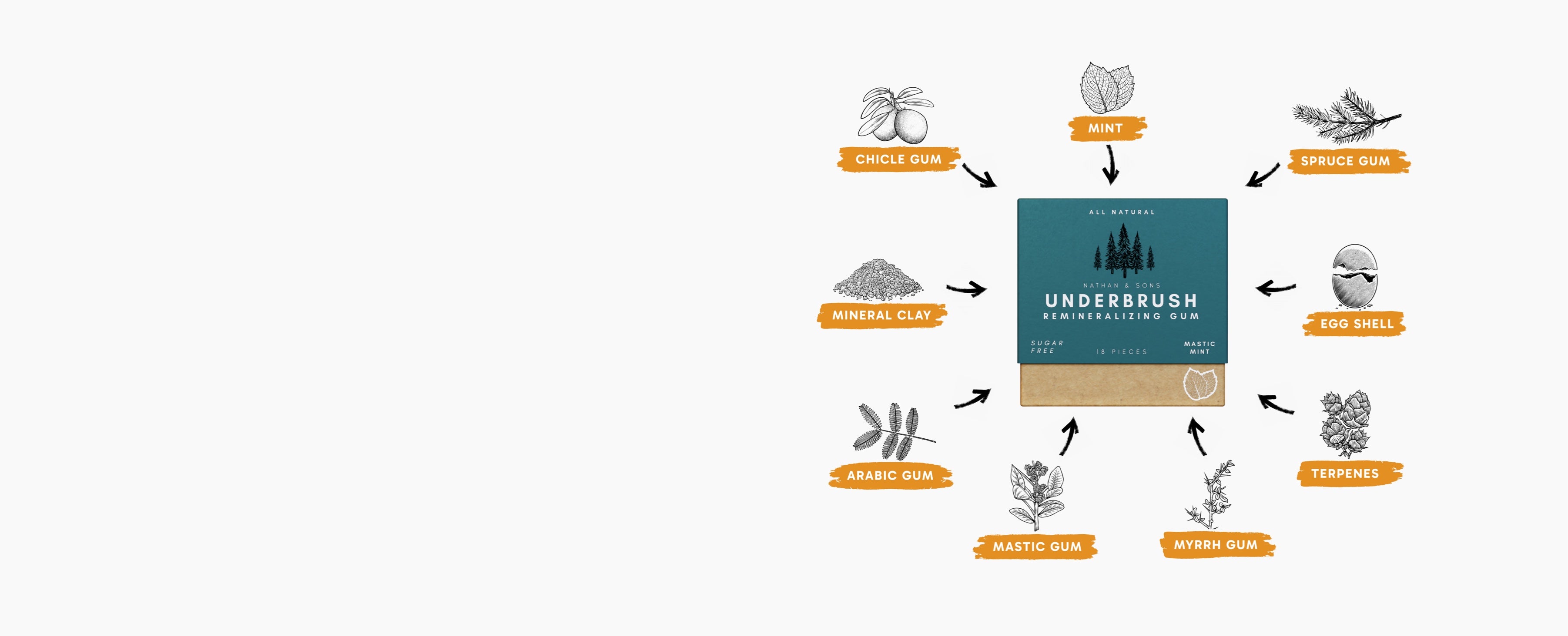 Underbrush Remineralizing Gum box surrounded by natural ingredients including chicle gum, mint, spruce gum, egg shell, terpenes, myrrh gum, mastic gum, arabic gum, and mineral clay