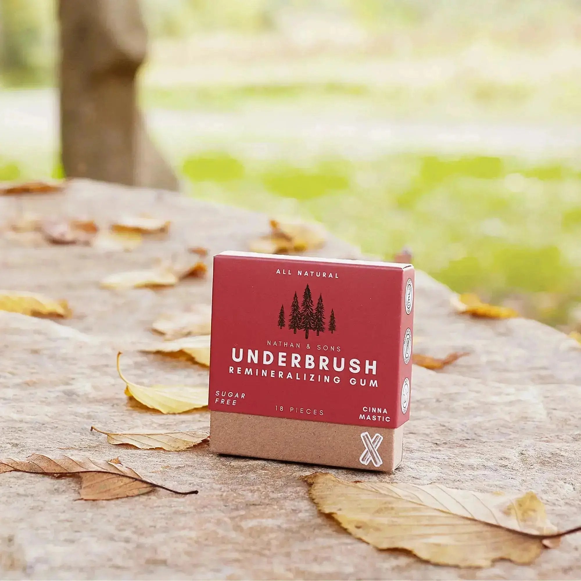 Nathan & Sons Underbrush Remineralizing Gum Cinna Mastic flavor box placed on a stone surface with scattered autumn leaves, set against a blurred background of green grass and trees