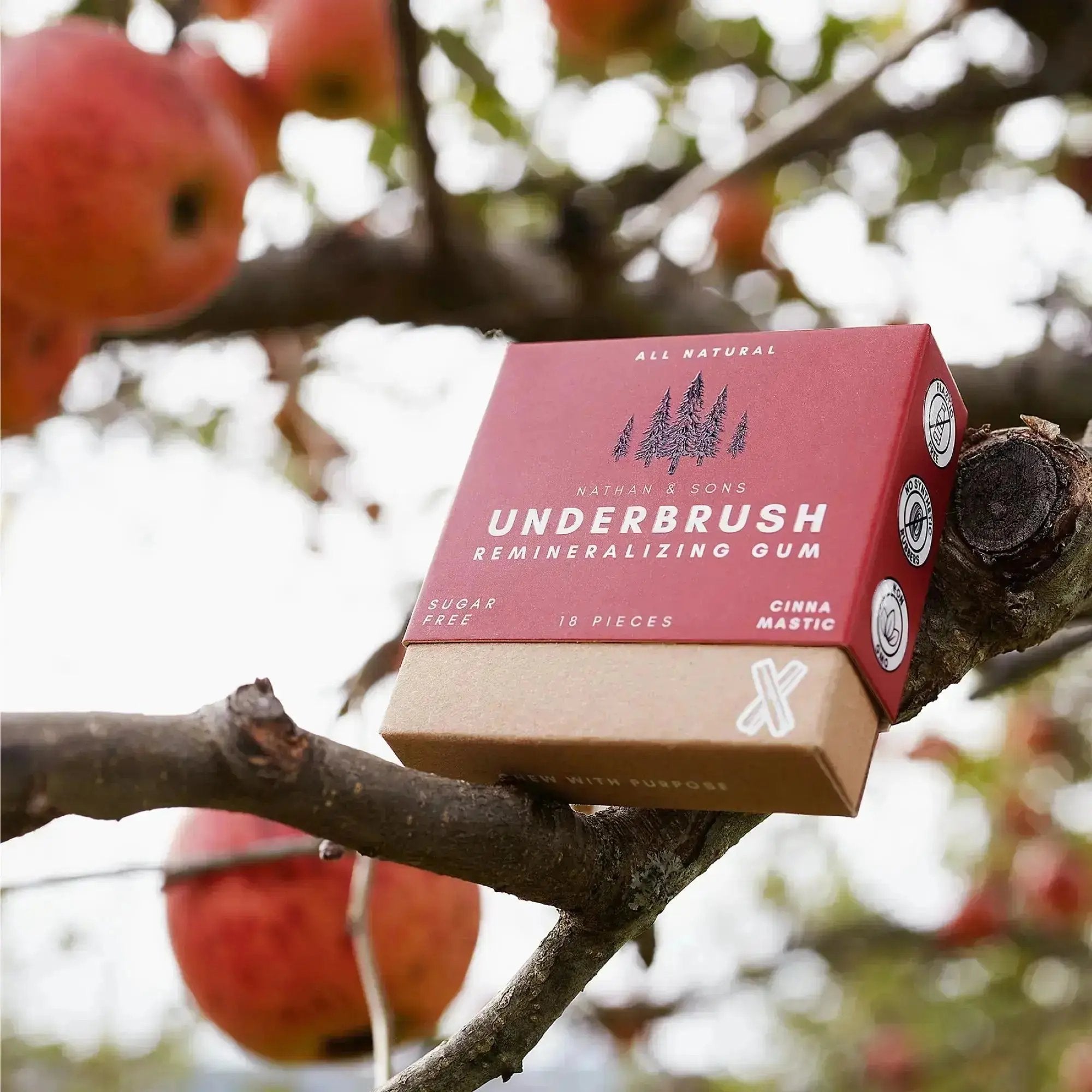 Nathan & Sons Underbrush Remineralizing Gum Cinna Mastic flavor box balanced on an apple tree branch, surrounded by red apples
