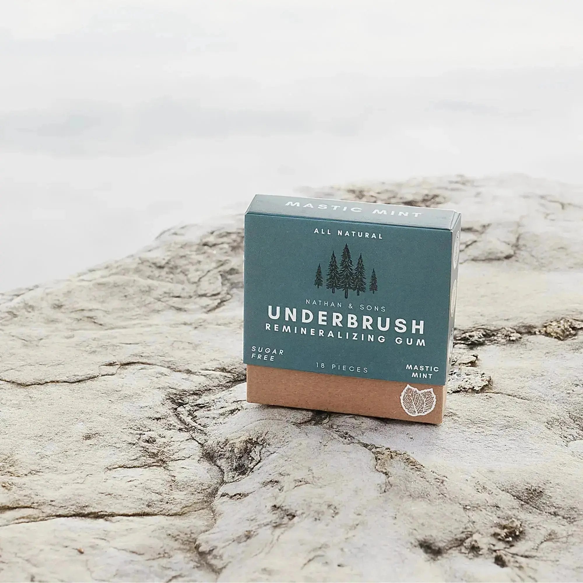 Box of Nathan & Sons Underbrush Remineralizing Gum in Mastic Mint flavor, placed on a textured rock surface with a blurred natural background