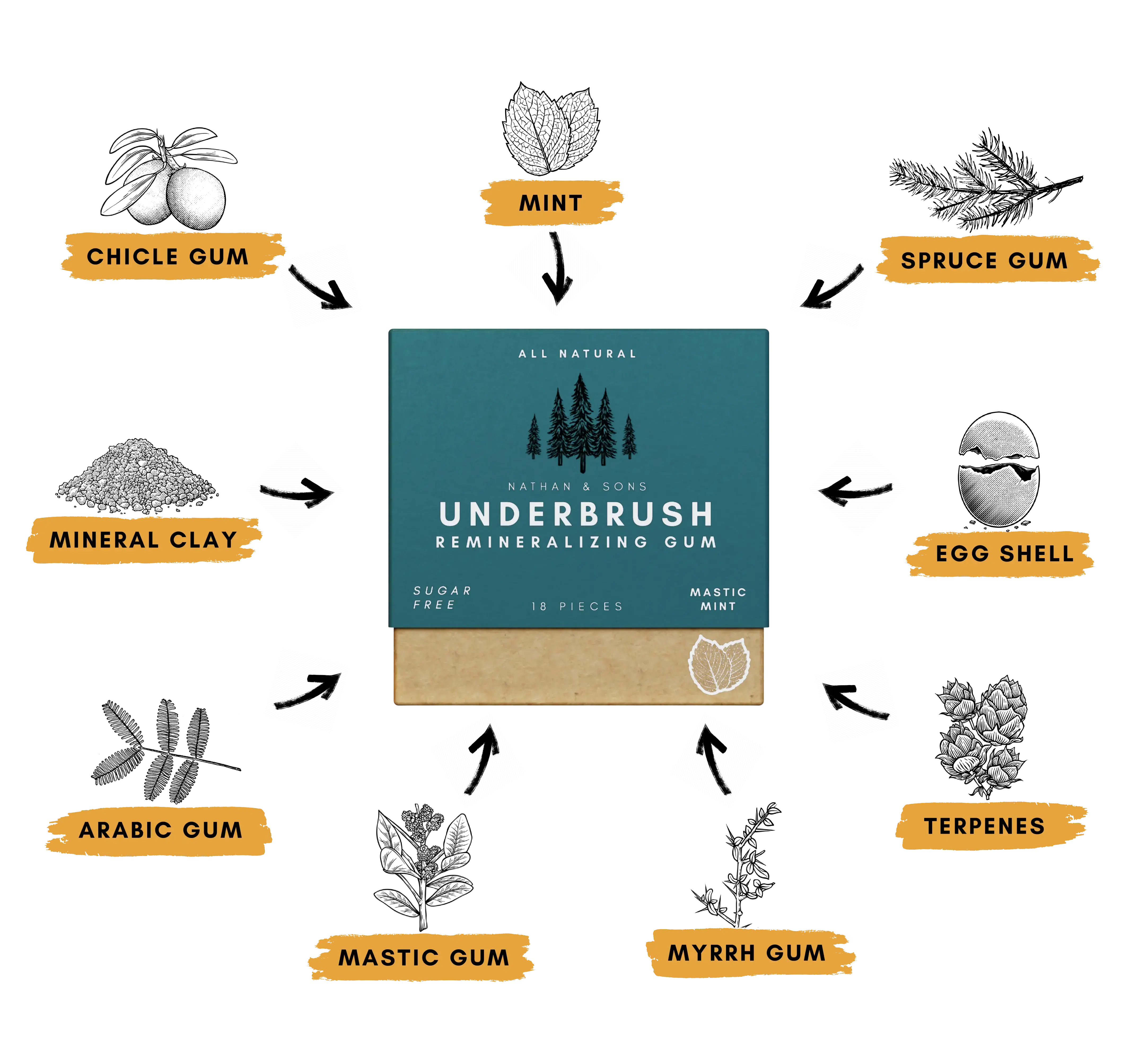 Underbrush Remineralizing Gum box surrounded by natural ingredients including chicle gum, mint, spruce gum, egg shell, terpenes, myrrh gum, mastic gum, arabic gum, and mineral clay