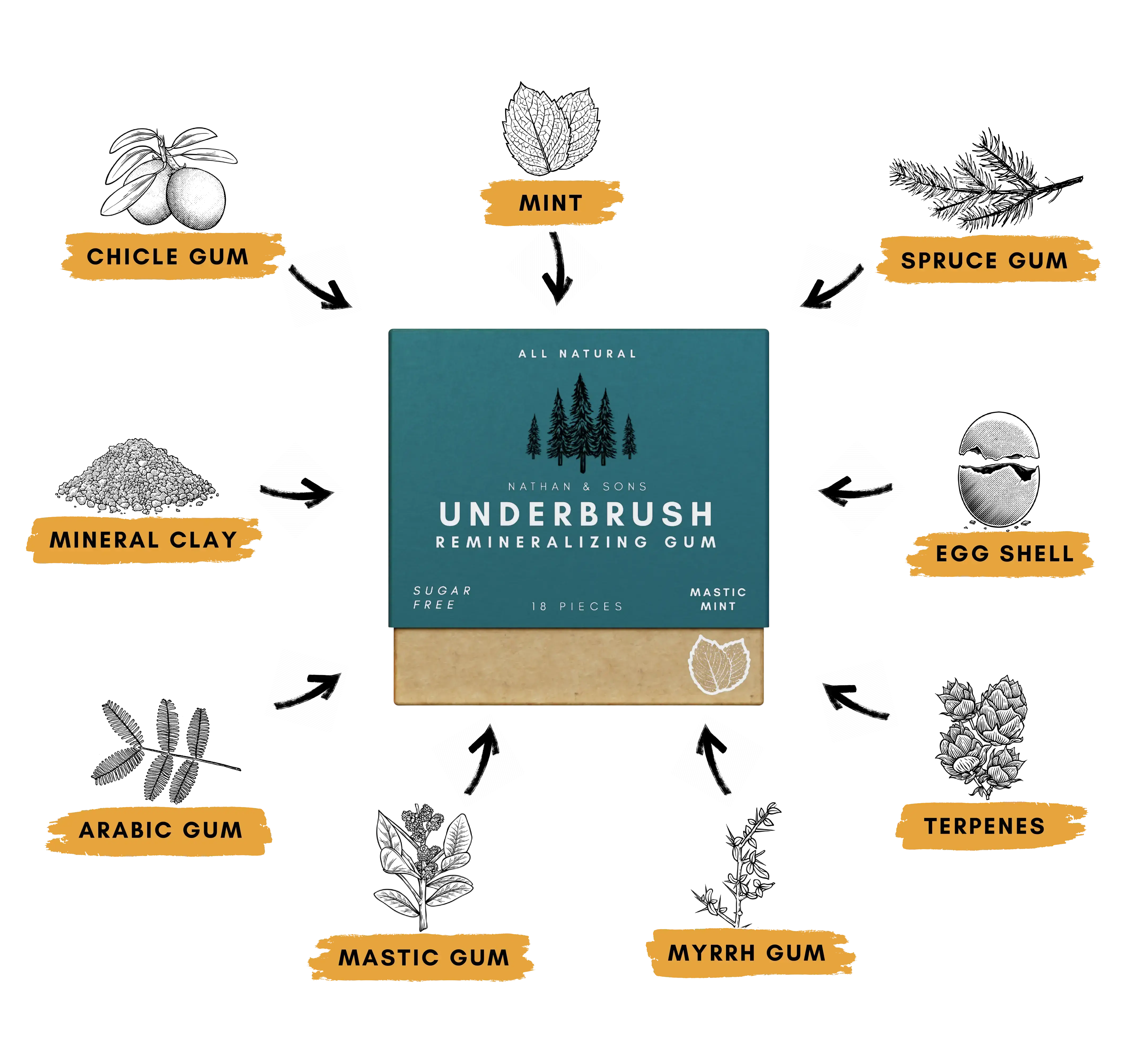 Underbrush Remineralizing Gum box surrounded by natural ingredients including chicle gum, mint, spruce gum, egg shell, terpenes, myrrh gum, mastic gum, arabic gum, and mineral clay