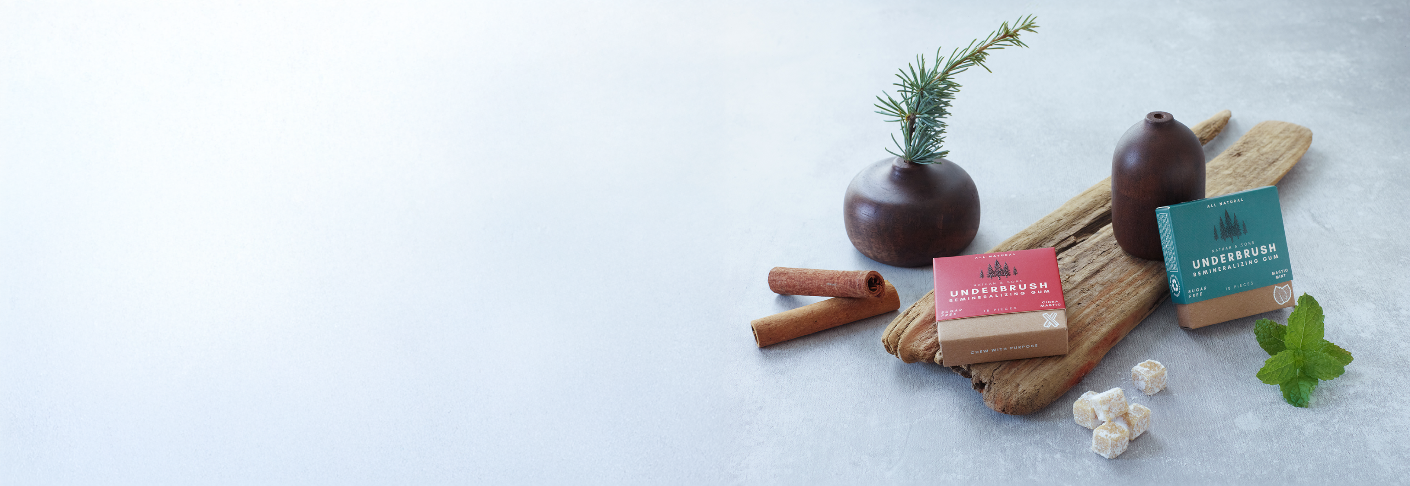 Underbrush Remineralizing Gum in Mastic Mint and Cinna Mastic flavors with cinnamon sticks, mint leaves, and natural decor