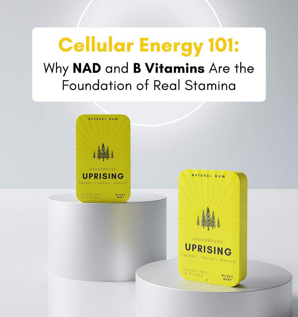 NAD and B vitamins helping cells turn food into energy