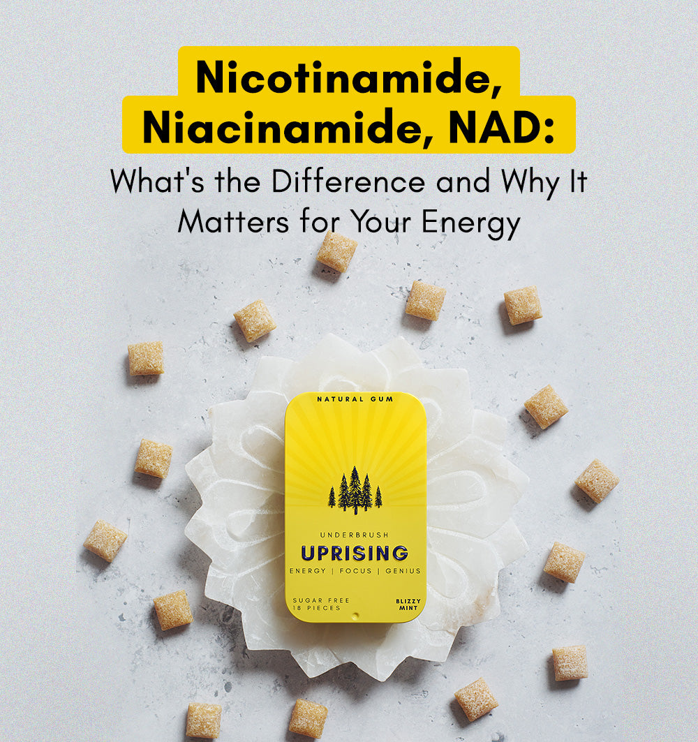 Nicotinamide, Niacinamide, NAD: What's the Difference and Why It Matters for Your Energy
