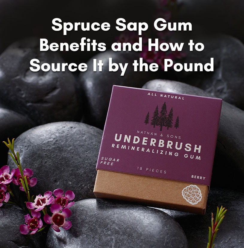 Underbrush Berry Remineralizing Gum surrounded by black stones and small purple flowers, with text about spruce sap gum benefits and sourcing.
