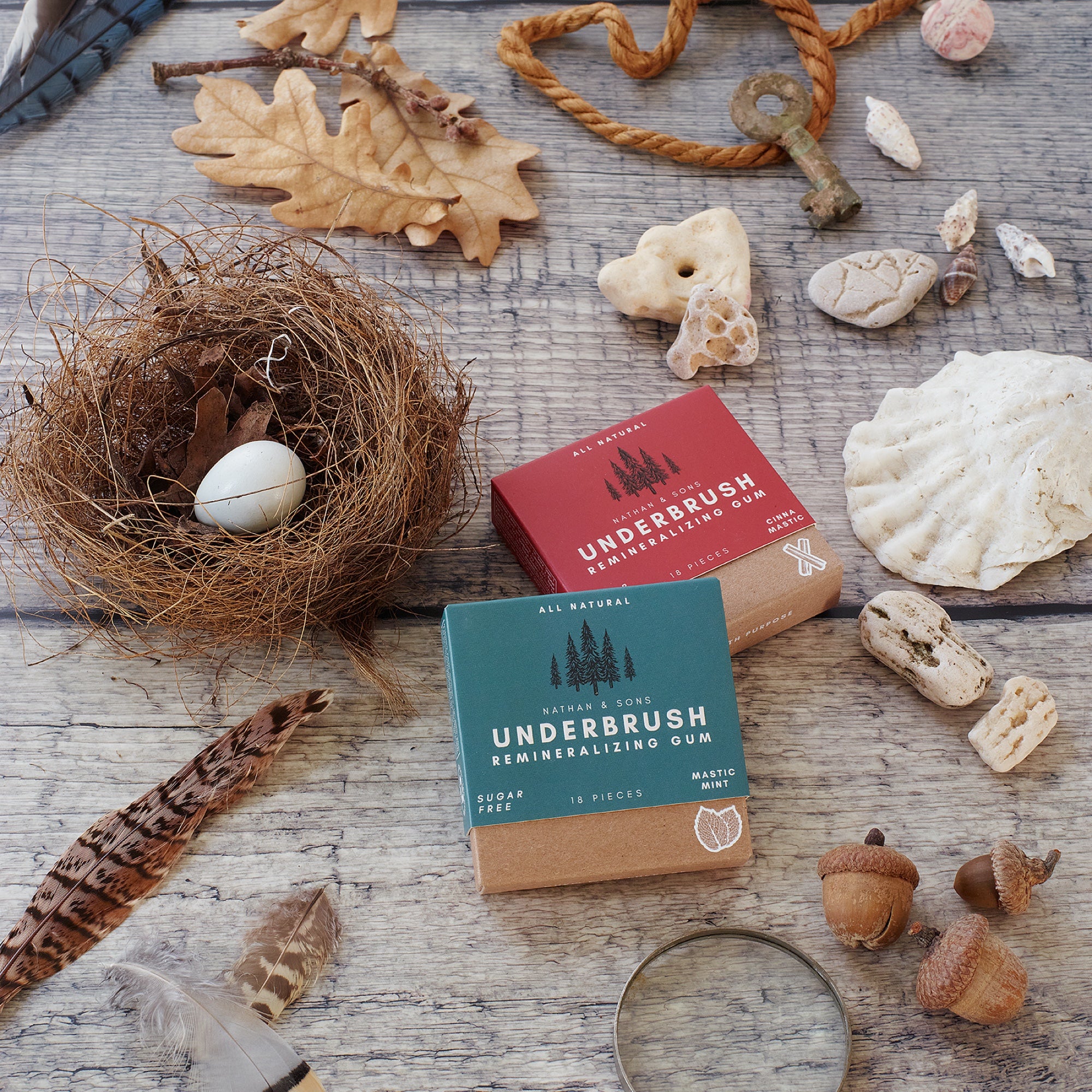 Boxes of xylitol chewing gum with mint and cinnamon flavor on top of a table surrounded by an egg, sea shells, a feather 